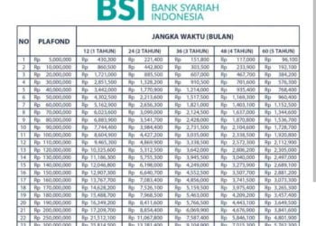 Akses Mudah dan Tanpa Riba! Ini Tabel Angsuran Pinjaman Rp100 Juta Melalui KUR BSI Terbaru 2024