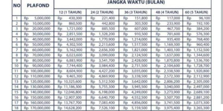 Akses Mudah dan Tanpa Riba! Ini Tabel Angsuran Pinjaman Rp100 Juta Melalui KUR BSI Terbaru 2024
