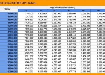 SIMAK!Ini Tips Lolos Pengajuan KUR BRI Meski Sedang Ada Kredit di Bank Lain Terbaru 2024