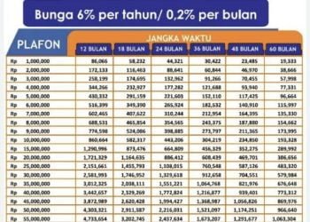 PASTI LOLOS!Berikut Syarat Pengajuan KUR BRI Plafond 40 juta Terbaru 2024