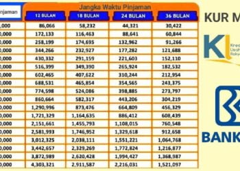 Angsuran Mulai dari Rp300 Ribu, Simak Tabel Angsuran KUR BRI Pinjaman 10 Juta Terbaru