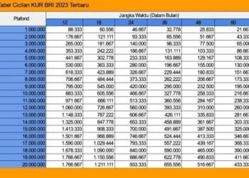 LENGKAP!Tabel Angsuran KUR BRI Pinjaman 30juta