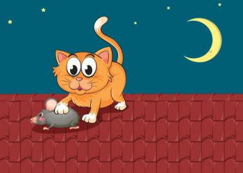 Mengungkap Misteri Kenapa Kucing Suka Berburu dan Memangsa Tikus