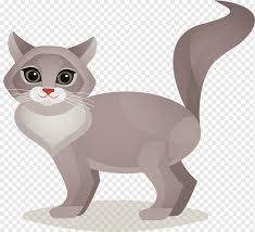 Tips Merawat Anak Kucing: Panduan Penting bagi Pecinta Kucing