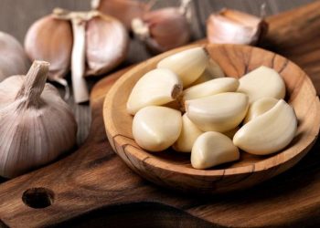 Mudah dan Menguntungkan: Cara Menanam Bawang Putih di Rumah