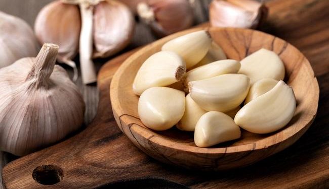 Mudah dan Menguntungkan: Cara Menanam Bawang Putih di Rumah