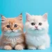 Mengungkap 4 Penyebab Sakit Ginjal pada Kucing yang Tak Boleh Diabaikan