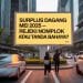 Surplus Dagang Mei USD 2,53 Miliar – Berkah Ekonomi atau Tanda Bahaya?