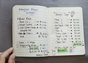 Tips Mengelola Keuangan untuk Anak Kos