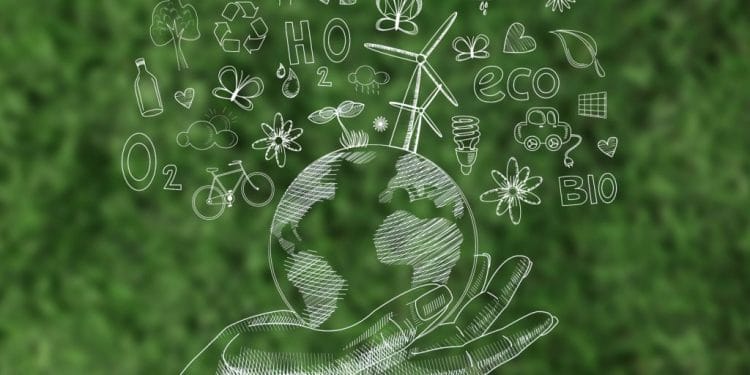 Investasi Hijau Makin Bersinar: Energi Terbarukan Jadi Magnet Baru di Pasar Global