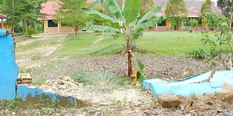 Hari Sabtu SDN 3 Rejomulyo Jati Agung Libur, Pagar Rubuh Dibiarkan: Ada Apa di Balik Sekolah Sepi di Tengah Perkebunan?
