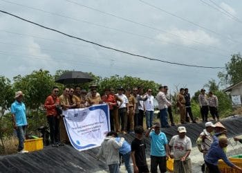 Model Kemitraan SBI Dinilai Sukses, Produktivitas Tambak Dipasena Meningkat