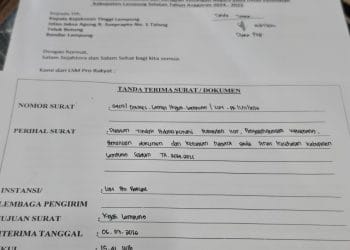Proyek Puskesmas hingga Dugaan Pungli, LSM PRO RAKYAT Minta Kejati Periksa Dinkes Lamsel
