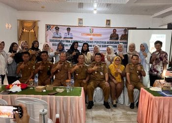 Transformasi Digital Perizinan Terus Digenjot, Pemkab Tanggamus Sosialisasikan OSS-RBA