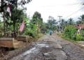 Jalan Rusak Masih Membayangi Warga Way Kanan, Data PAD Justru Menunjukkan Tren Positif