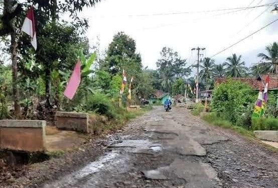 Jalan Rusak Masih Membayangi Warga Way Kanan, Data PAD Justru Menunjukkan Tren Positif