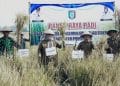 Panen Raya di Gadingrejo, Umi Laila Sebut Petani Kunci Ketahanan Pangan Pringsewu