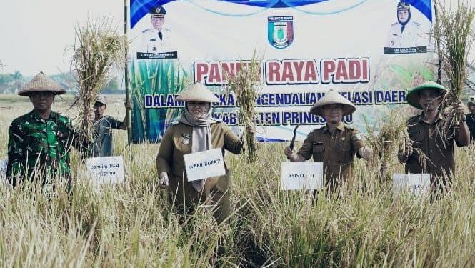 Panen Raya di Gadingrejo, Umi Laila Sebut Petani Kunci Ketahanan Pangan Pringsewu