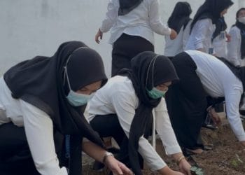 Lapas Kalianda Dorong WBP Naik Level, Belajar Bertani Lewat Budidaya Cabai