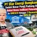 Klarifikasi Belum Dijawab, Panji Padang Ratu Bakal Minta Informasi Proyek Geothermal Star Energy
